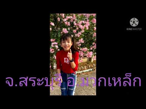 ที่พัก สระบุรีอําเภอมวกเหล็ก.. บ้านเรือนไทยรีสอร์ท