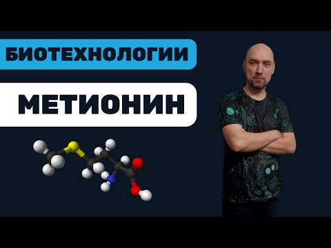 Что такое метионин? Душкин объяснит