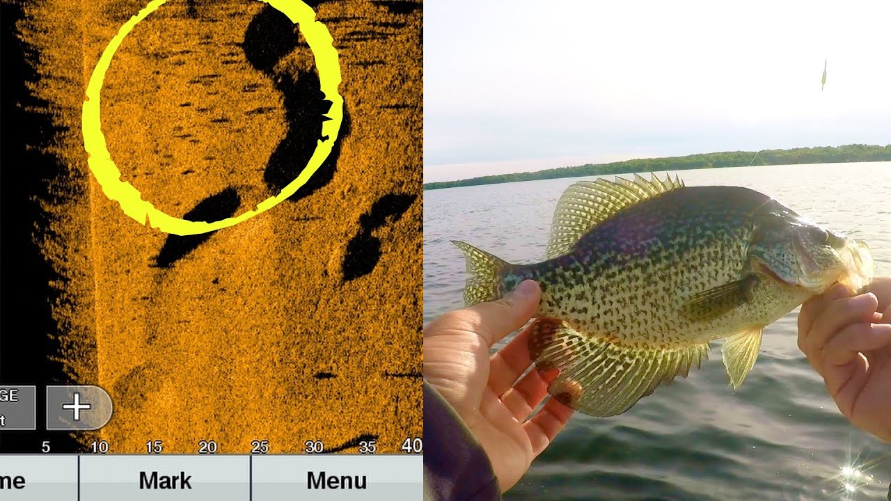 Use Side Imaging to find Crappie in Weeds (Simple Bobber Rig
