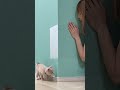 跳ばす嫁と跳ばされる子猫　【年の差夫婦】 #shorts