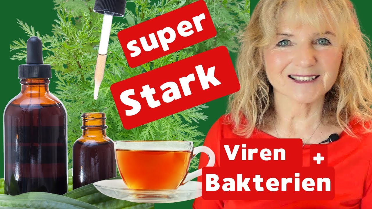 Artemisia annua - einjähriger Beifuß - Tee, Oxymel und Kräutertinktur