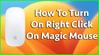 How To Turn On Right Click On Magic Mouse 1 or 2