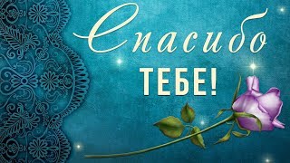 💖 Спасибо тебе за то, что ты есть у меня!💖 Анимационная открытка #WhatsApp #Длятебя #спасибо