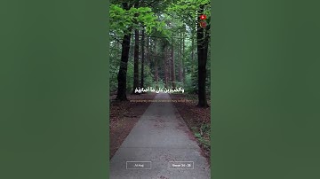 (إِنّا كُنّا ظـٰلمين...) 💚💌#ياسر_الدوسري #سورة_الأنبياء‎ #القران_الكريم #اكتب_شيء_تؤجر_عليه #اكسبلور