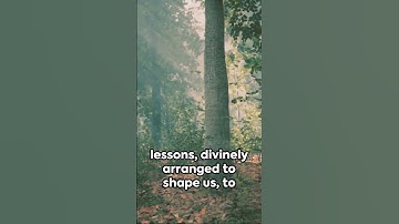 Embrace Stoicism: Finding Strength in Adversity