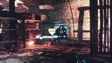 cod 5 shi no numa glitch