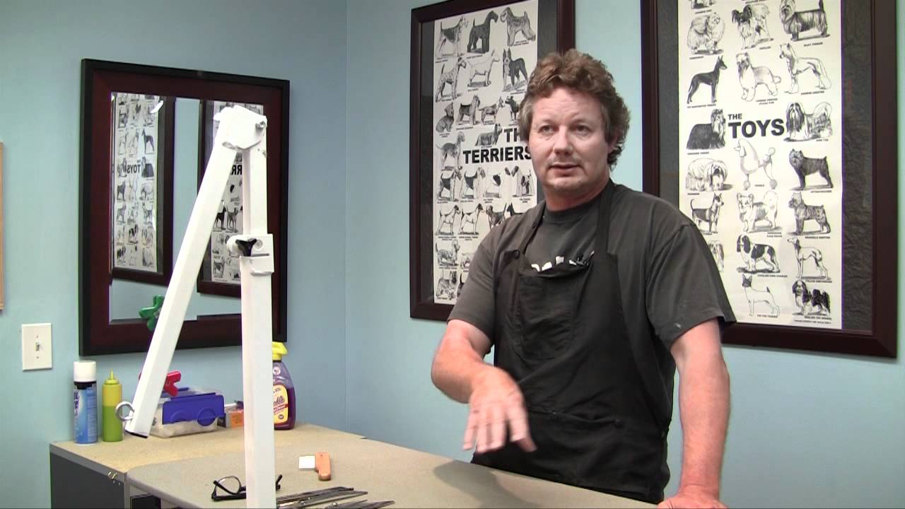 Dog Grooming Career Job Outlook Chicago Dog Grooming School YouTube