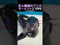 史上最強のアシカモーメント2弾TOP6