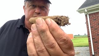 How to Take a Soil Sample