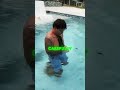 baby otter's first swimming lesson! #otter #cute #shorts
