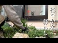 はなちゃんとばーばの、穏やかな暮らし