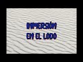 Inmersión en el lodo / Cort G260