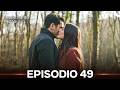 Segreti Di Famiglia Episodio 49 (Doppiaggio in italiano)