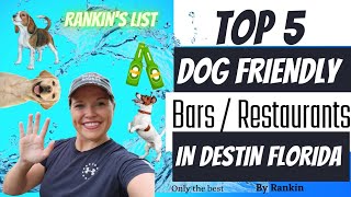 Top 5 Dog Friendly Bars and Restaurants in Destin Florida - Rankin's List
