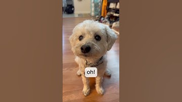 Automate your home with Ajax Socket, smart plug for smart home #smarthome #ajaxsystems