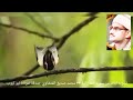 يآأيها الناس اتقوا ربكم واخشوا يوما لا يجزي والد عن ولده سورة لقمان آية ٣٣ الشيخ المنشاوي يآأيها الناس اتقوا ربكم واخشوا يوما لا يجزي والد عن ولده سورة لقمان آية ٣٣ الشيخ المنشاوي