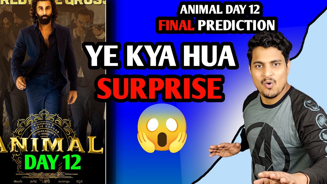 Animal Movie Day 12 Final Prediction | Animal Day 12 Box Office Collection 