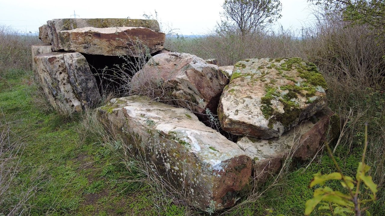 Das Großsteingrab Steinerne Hütte bei Nienburg (SachsenAnhalt) YouTube