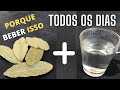 Se ferver folhas de louro e beber o líquido ISSO acontece com seu corpo