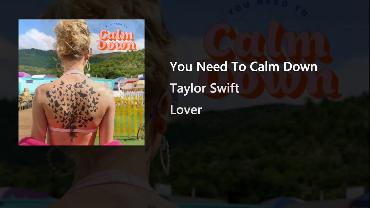 Taylor Swift You Need To Calm Down Testo