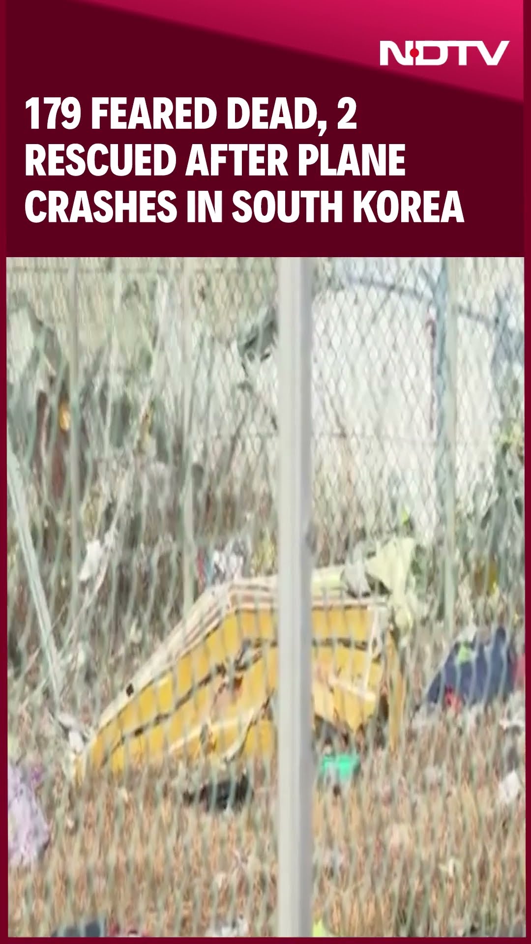 179 Feared Dead, 2 Rescued After Plane Crashes On South Korea