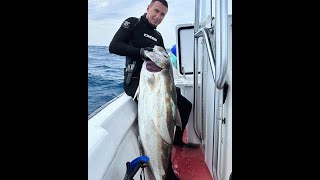 Подводная охота в чистой воде ИСПОЛЬЗОВАЛ свой ШАНС 40КГ КРУПНАЯ РЫБА #spearfishing #подводнаяохота