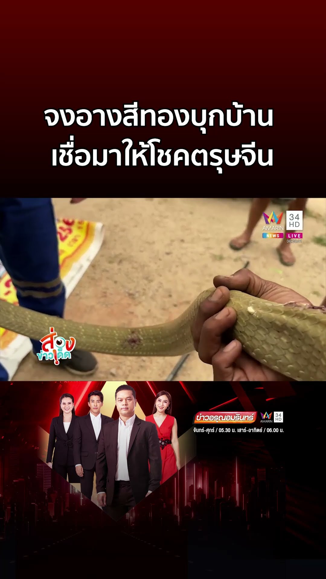 หาดูยาก! งูจงอางยักษ์สีทองเลื้อยเข้าบ้าน เชื่อมาให้โชคตรุษจีน | ข่าวอรุณอมรินทร์