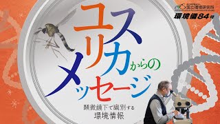 ユスリカからのメッセージ 顕微鏡下で識別する環境情報 | 環境儀84号