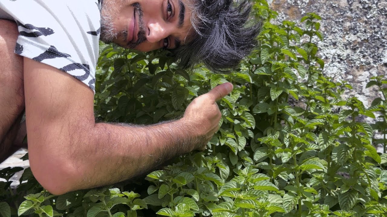 No quiero un jardín, quiero un bosque