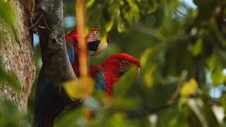 Embark in an unforgettable journey through Central America 🌎
