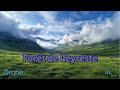 Ref:vKXLIrt3da8  for�t de ceyreste en drone 4k provence, france 