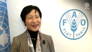Remarks by the Chief Executive Officer of the Global Environment Facility (GEF)