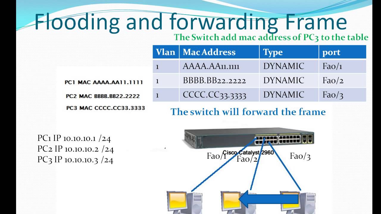 How The Switch Learn Mac Address Youtube