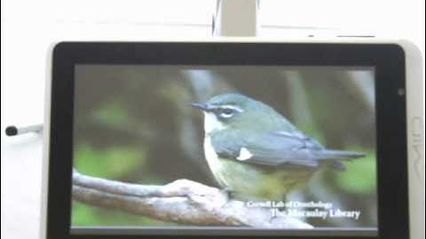 GTPAD LY-F526 Cortex A9 Dual-Core 1.2GHz Capacitive Android 2.2 Tablet