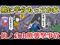 【ゆっくり解説】熊は冬眠しない!?たった10秒間の熊の襲撃で失ったもの...【2007年仙ノ倉山クマ襲撃遭難事故】