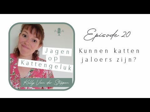 Video: Kunnen katten jaloers zijn? Jaloers gedrag bij katten