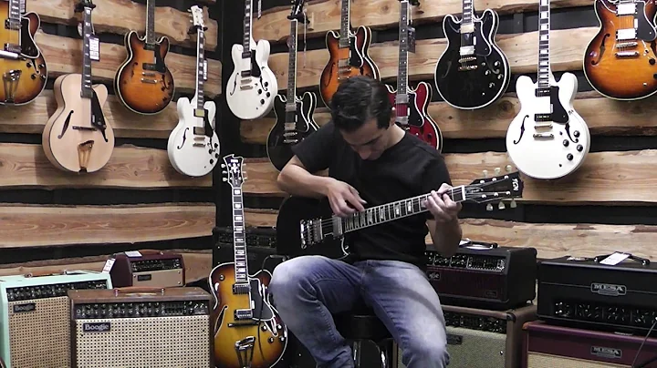 FGN Guitars Neo Classic DC10 Black Gloss von Rockland Music