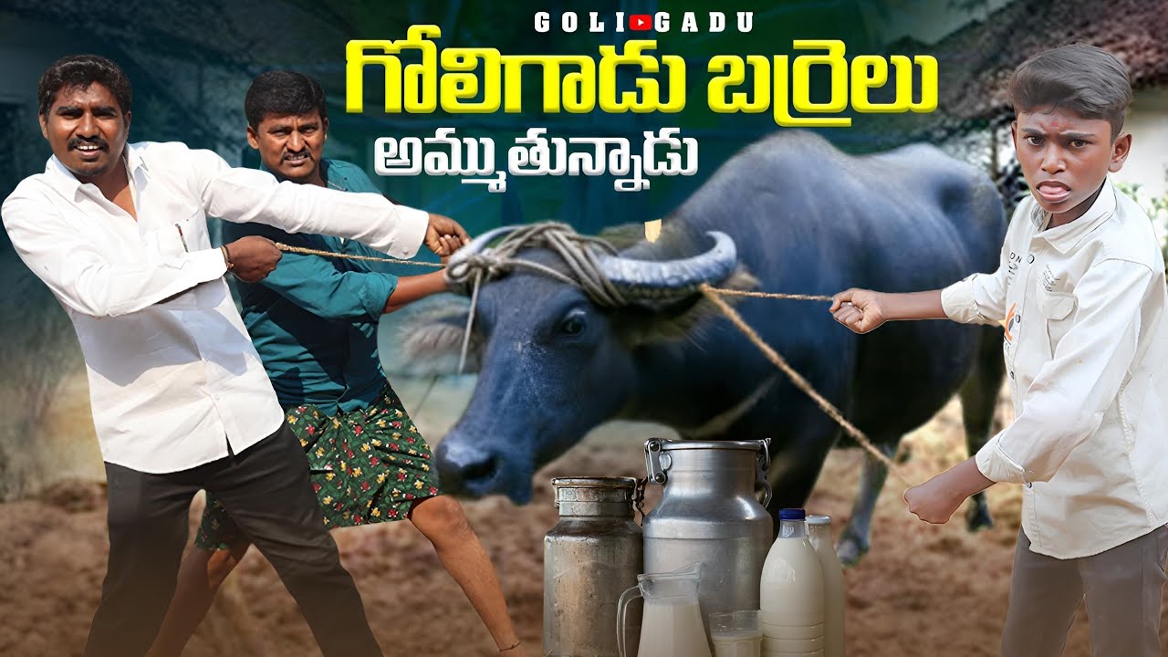 గోలిగాడు పాల వ్యాపారం  goli gadu #goligadu #prank