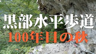水平歩道・標高1,000mの断崖絶壁の危険な道100年目の秋・途中まで@富山県黒部市 水平歩道・標高1,000mの断崖絶壁の危険な道100年目の秋・途中まで@富山県黒部市