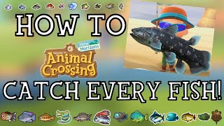 How To Catch Every Fish in Animal Crossing New Horizons - New Horizons Fishing Guide screenshot 5