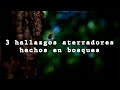 3 Hallazgos Aterrorizantes Hechos En Bosques