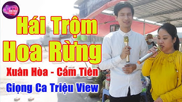 Hái Trộm Hoa Rừng - Giọng Ca Đường Phố Triệu View Khiến Ca Sĩ Cũng Chào Thua | Xuân Hòa ft Cẩm Tiên