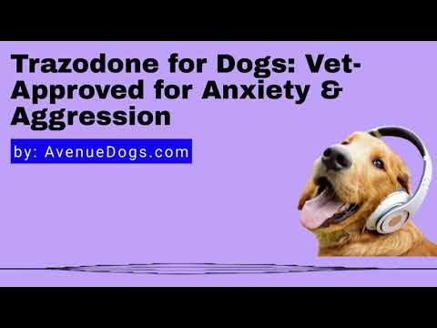 gabapentin and trazodone for anxiety in dogs