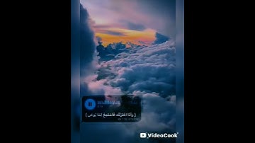 تلاوة هادئه ومريحه 💚🦋 #المصحف #اكسبلور #لايك