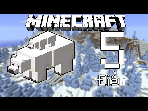 Video: Bạn có thể thuần hóa gấu Bắc Cực trong minecraft không?