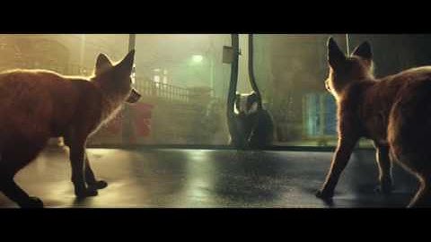 John Lewis Christmas Advert 2016   #BusterTheBoxer