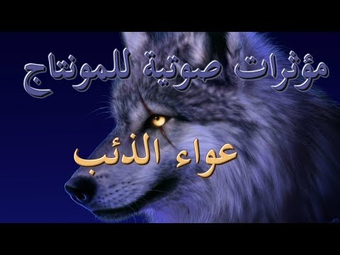 مؤثرات صوتية للمونتاج عواء الذئب