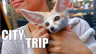 Tiniest Fox Visiting the Beautiful Dutch Valkenburg by Djinn The Fennec Fox 6,289 views 11 months ago 15 minutes