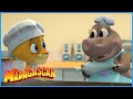 Learning to cook | DreamWorks Madagascar