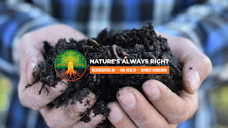 Natures Always Right Live Stream